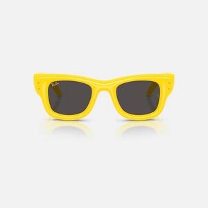 Ray-Ban ASAP ROCKY WAYFARER PUFFER